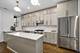 1636 W Julian, Chicago, IL 60622