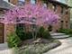 832 Interlaken, Libertyville, IL 60048