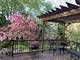 832 Interlaken, Libertyville, IL 60048