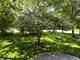 832 Interlaken, Libertyville, IL 60048