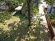 501 Dodson, Geneva, IL 60134
