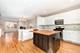 1022 Alexander, Oak Park, IL 60302