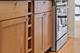 111 E Chestnut Unit 54G, Chicago, IL 60611