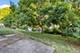 336 Kenilworth, Rockford, IL 61108