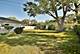 1105 S Fern, Mount Prospect, IL 60056