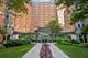 4950 N Marine Unit 1009, Chicago, IL 60640