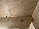 901 Austin Unit 2, Evanston, IL 60202