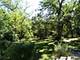 1805 Gilbert, Downers Grove, IL 60515