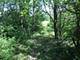 Oak Meadow Lot 3 Hadley, Homer Glen, IL 60491