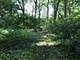 Oak Meadow Lot 3 Hadley, Homer Glen, IL 60491