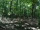 Oak Meadow Lot 3 Hadley, Homer Glen, IL 60491