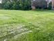 5305 Rita, Crystal Lake, IL 60014