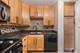 5510 Lincoln Unit 301, Morton Grove, IL 60053