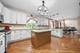 726 Bristol, Pingree Grove, IL 60140