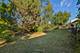 21506 Franklin, Plainfield, IL 60544