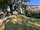 6239 S Ellis, Chicago, IL 60637