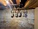 6239 S Ellis, Chicago, IL 60637