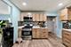 16058 S Gougar, Homer Glen, IL 60491