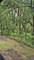 1469 Midland, Joliet, IL 60436