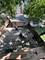 7139 S Parnell, Chicago, IL 60621