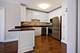 21 W Chestnut Unit 1502, Chicago, IL 60610
