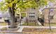 3231 N Octavia, Chicago, IL 60634
