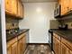 14B Kingery Quarter Unit 207, Willowbrook, IL 60527