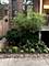 907-909 W Webster, Chicago, IL 60614