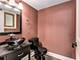 17105 Rochelle, Tinley Park, IL 60487