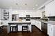3233 S Stewart, Chicago, IL 60616