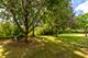 23127 Judith, Plainfield, IL 60586