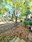 1736 Brookwood, Lisle, IL 60532
