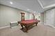 225 N Mill, Naperville, IL 60540