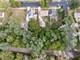 Lot 5-7 Cottage, Carpentersville, IL 60110