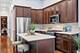 1528 W Monroe Unit 200, Chicago, IL 60607
