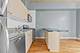 1620 S Michigan Unit 816, Chicago, IL 60616