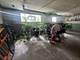 5534 W Barry, Chicago, IL 60641