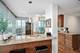 9725 Woods Unit 1002, Skokie, IL 60077
