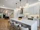 1910 W George, Chicago, IL 60657