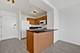 2800 N Lake Shore Unit 3113, Chicago, IL 60657