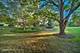 12 Highgate, St. Charles, IL 60174