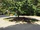 3258 Red Oak, Carpentersville, IL 60110