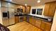 1723 Wildberry Unit C, Glenview, IL 60025