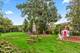 15309 Walnut, Oak Forest, IL 60452
