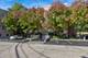 515 N Harlem Unit 105, Oak Park, IL 60302