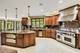 4N675 Old Farm, St. Charles, IL 60175