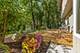 1935 Green Trails, Lisle, IL 60532
