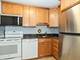 111 W Maple Unit 3207, Chicago, IL 60610