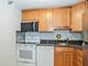 111 W Maple Unit 3207, Chicago, IL 60610