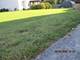 1333 Belle Haven, Grayslake, IL 60030